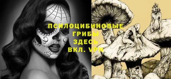 соль курить ск Белокуриха