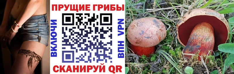 Галлюциногенные грибы прущие грибы  кракен ТОР  Щигры 