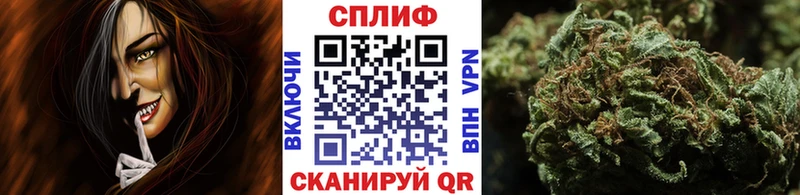 Бошки Шишки планчик  купить  сайты  Щигры 